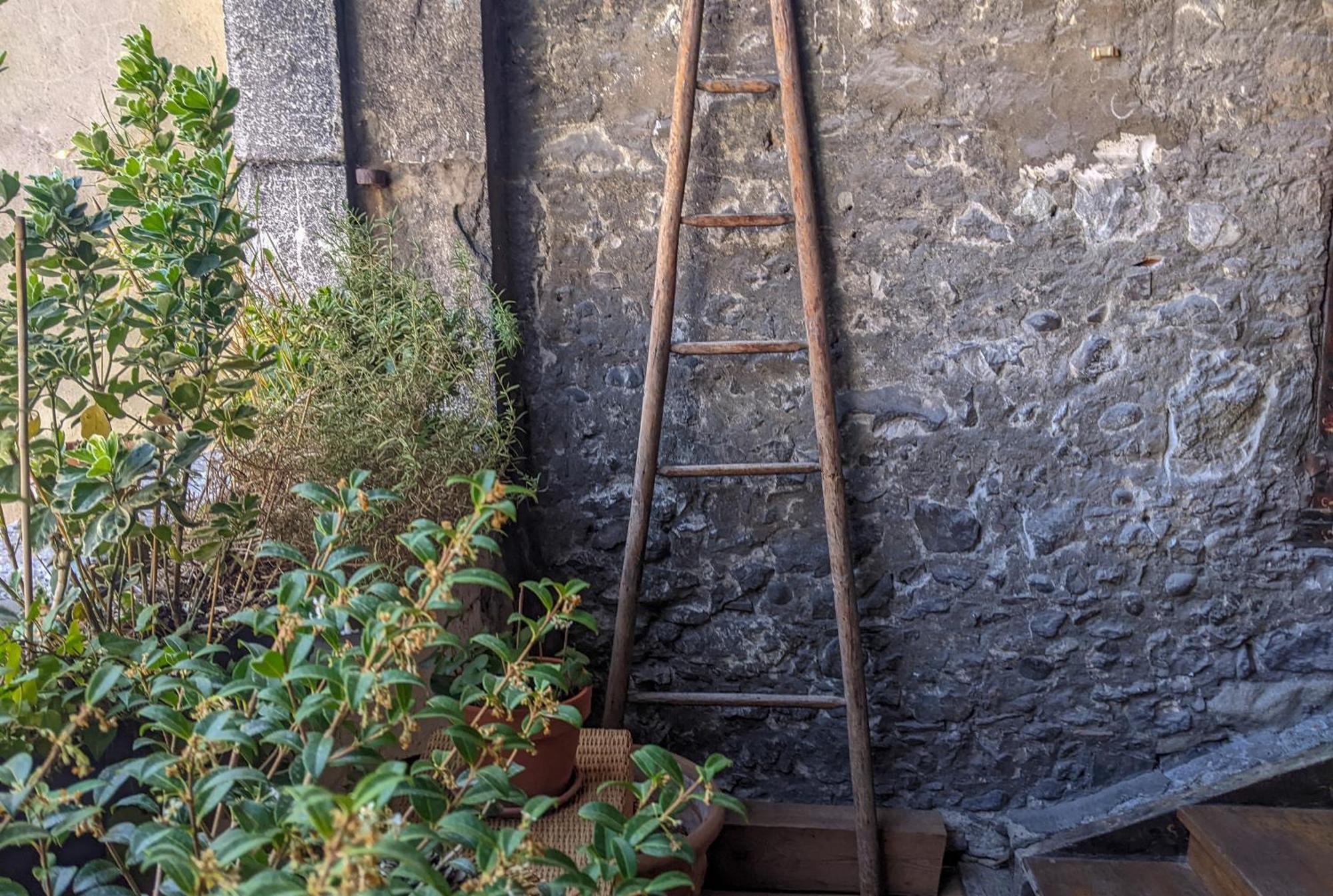 Nid Douillet Acomodação com café da manhã Annecy Exterior foto